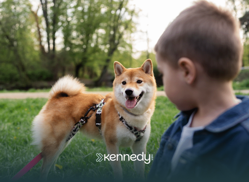 An autism service dog being looked at its owner